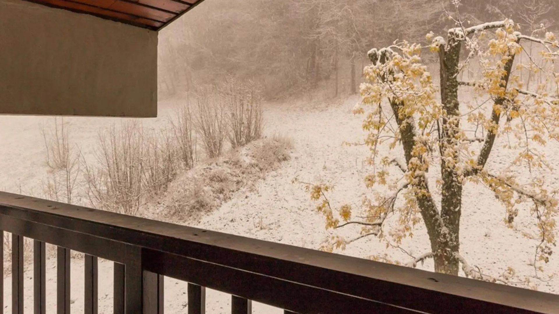 Apartment Duplex Renove Proche Pistes Et Commerces, Balcon Sud, 6 Pers., Casier A Skis - Fr-1-181-2442 La Plagne-Tarentaise